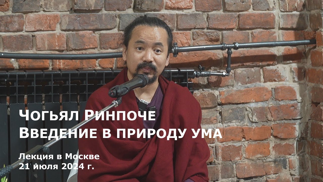 Чогьял Ринпоче. Введение в природу ума