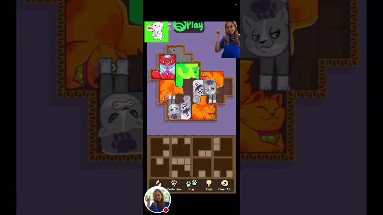 CATCH CATPLAY PUZZLE 😻😽#kitten#cat#cats#game#trendinggame#catplay#puzzle