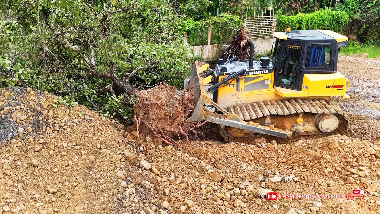 Watch This Bulldozer Clear a Huge Field Fast! Can This Bulldozer Finish the Job?