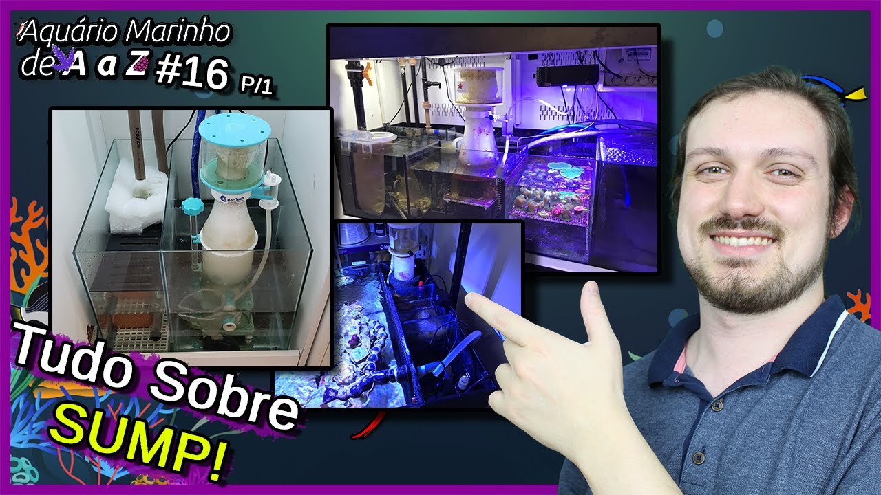 TUDO sobre SUMP! - Externo, Traseiro, Hang On e Outros - Aquário Marinho de A a Z #16 P1