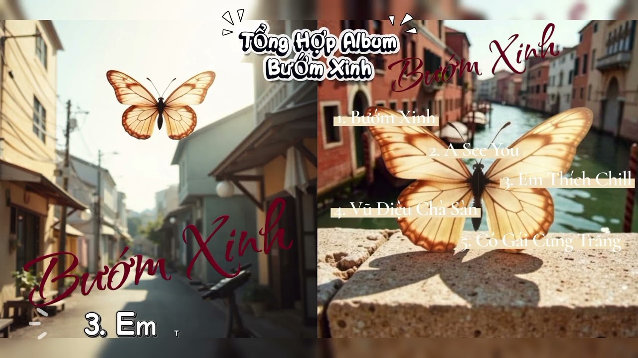 Tổng hợp albums BƯỚM XINH 