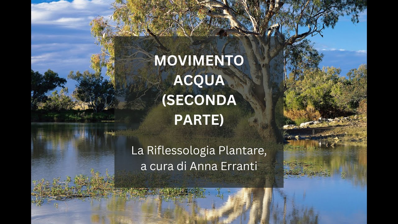 IL MOVIMENTO ACQUA (SECONDA PARTE) - La Riflessologia Plantare, a cura di Anna Erranti