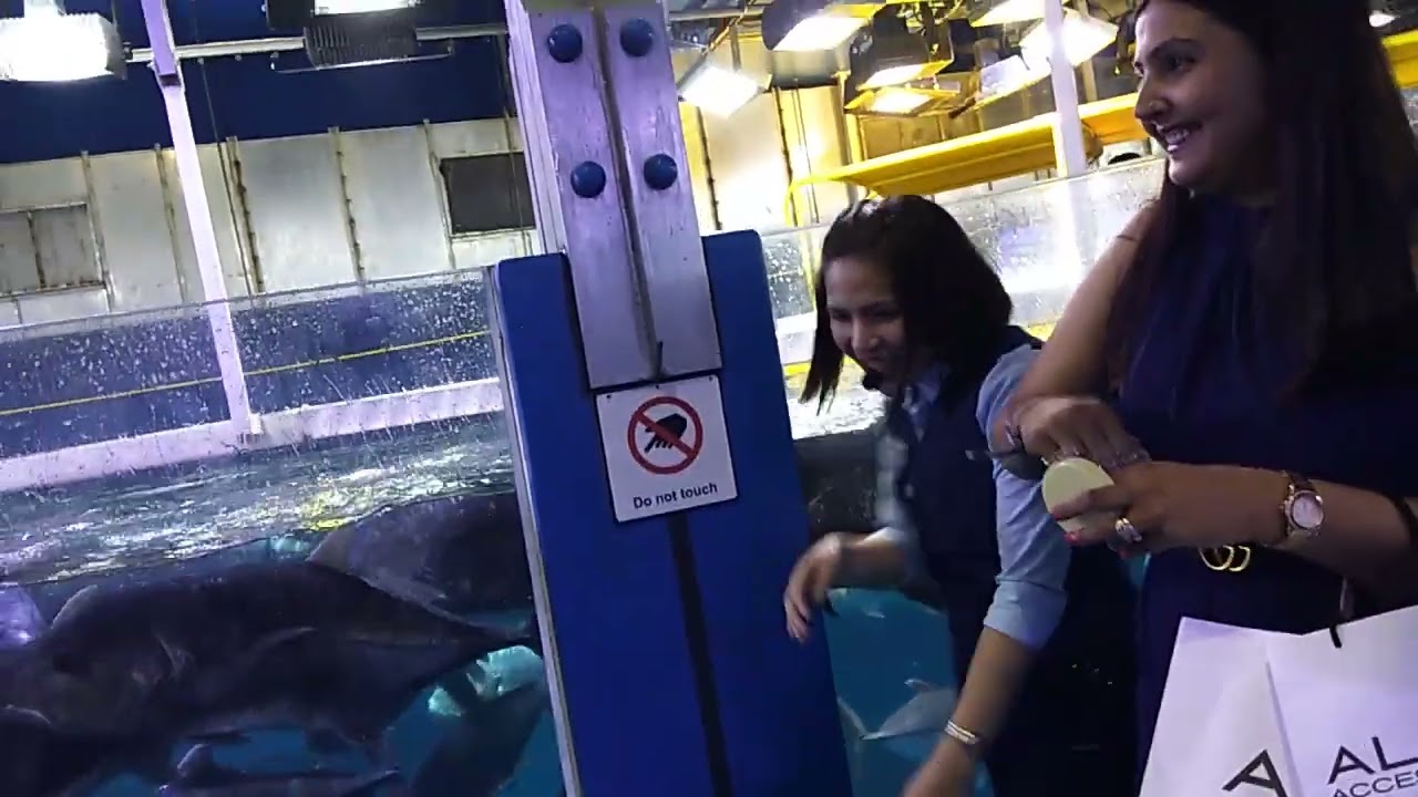 #aquariumfish  #piranha #fishtankvlog 