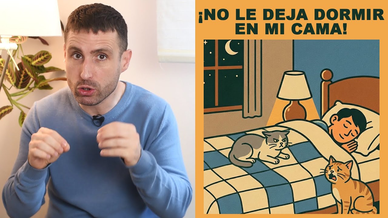 ¿Qué hago si uno de mis gatos expulsa al otro de mi cama?