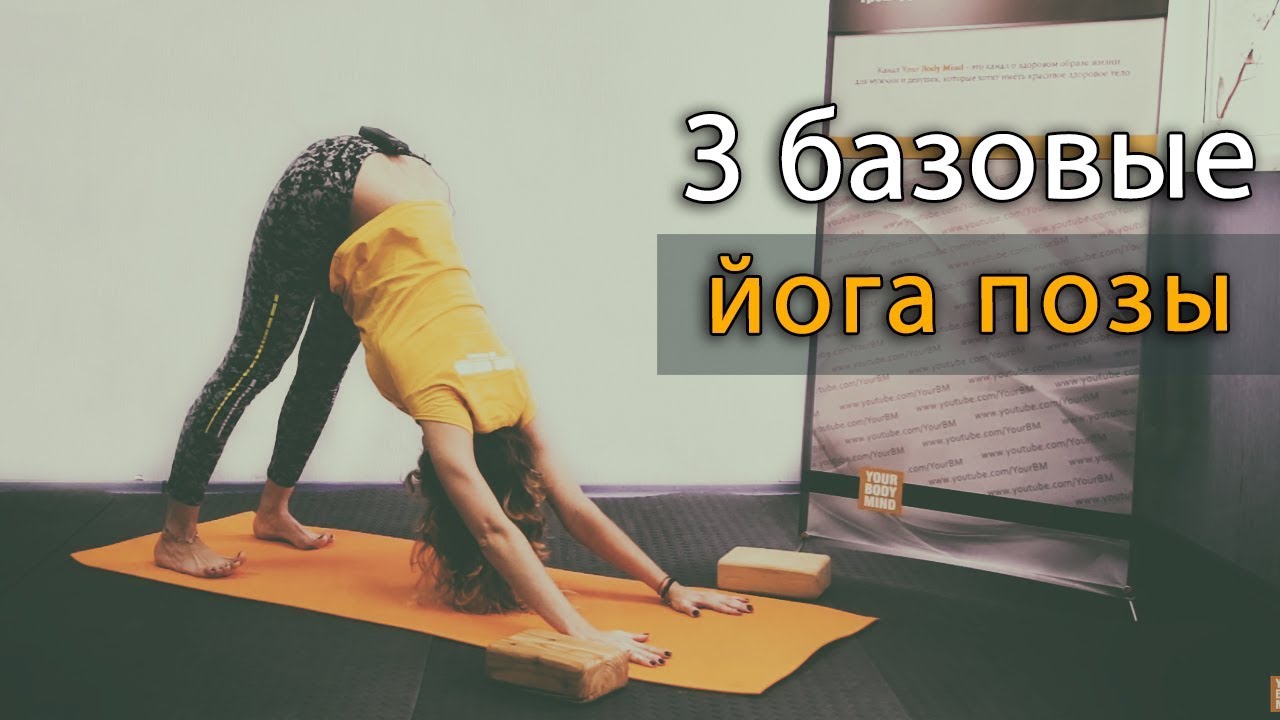 Как делать йога асаны правильно: чатуранга, горка, собака мордой вверх
