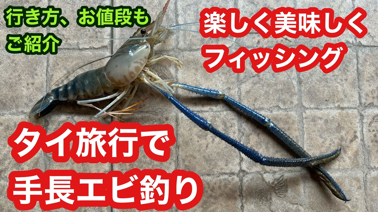 タイでエビ釣り　美味しく楽しくファミリーフィッシング　タイ旅行🇹🇭のバンコクで手長エビ釣り