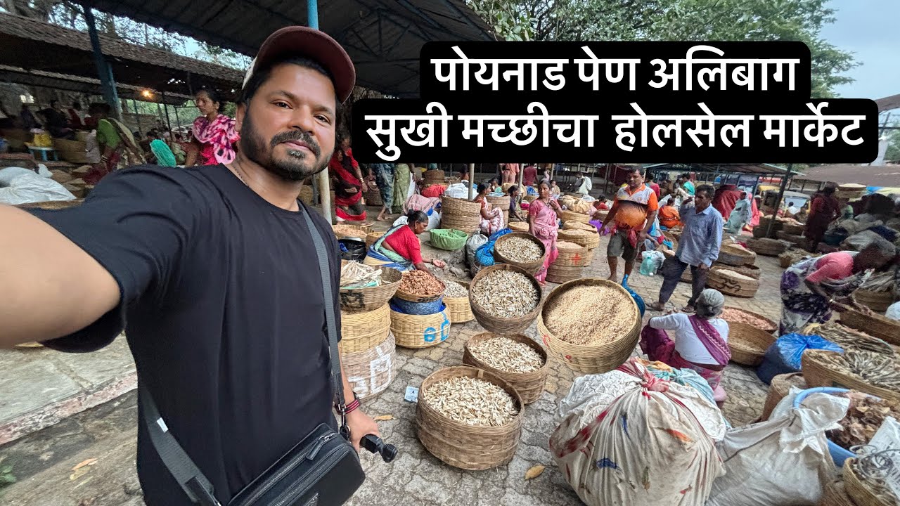 एकदम ताजा सुखी मासळीचा बाजार 😍 होलसेल मच्छी मार्केट पोयनाड सकाळचा मार्केट, Alibaug Poynad Dryfish