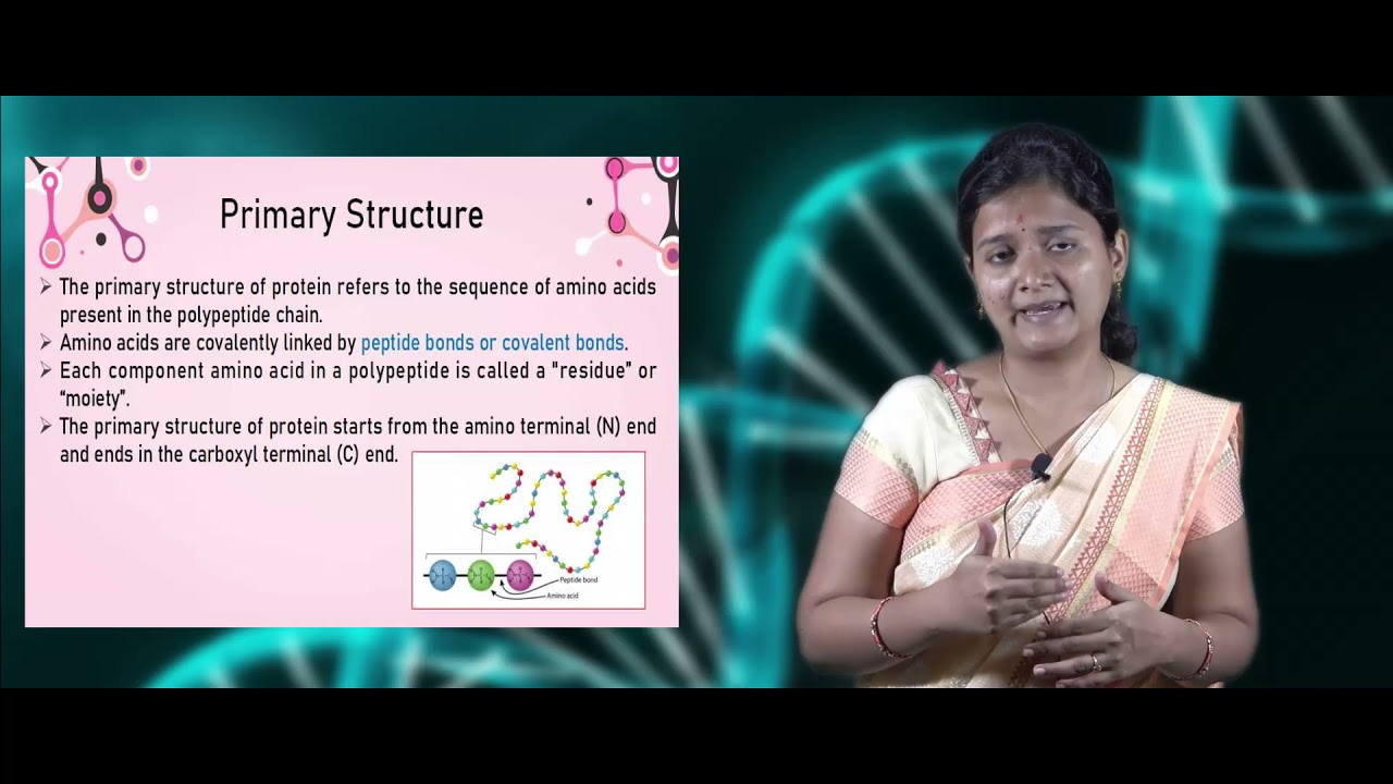 Structure of Protein | Online Video Lecture Series 1 | Protein Structure Prediction