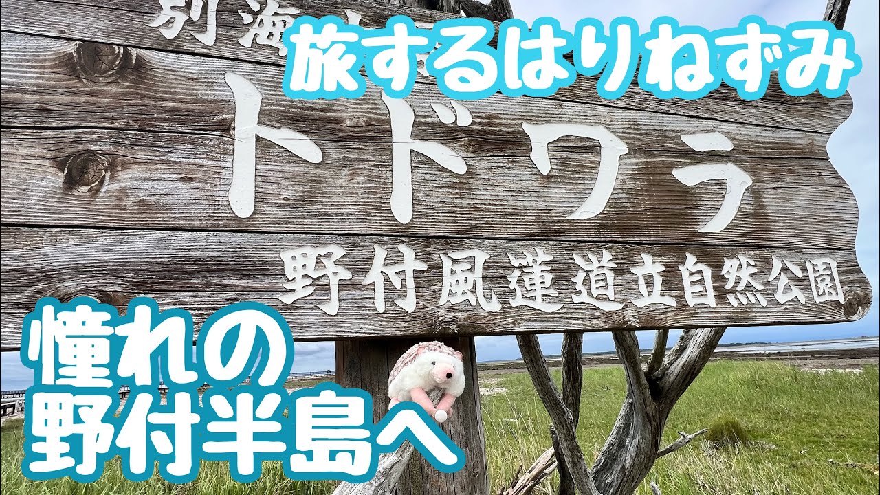 【北海道ひとり旅】エゾシカとキタキツネが住む憧れの野付半島へ