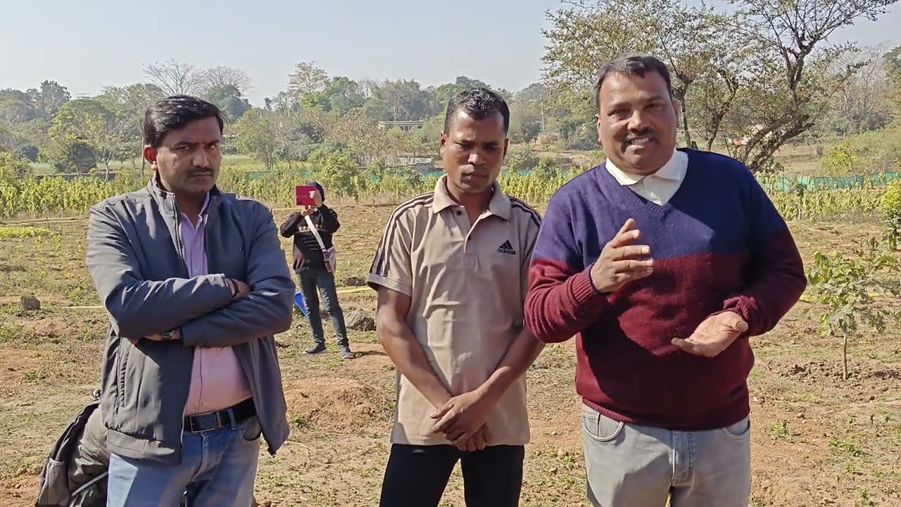 Ranchi naamkum mein lac  ki kheti