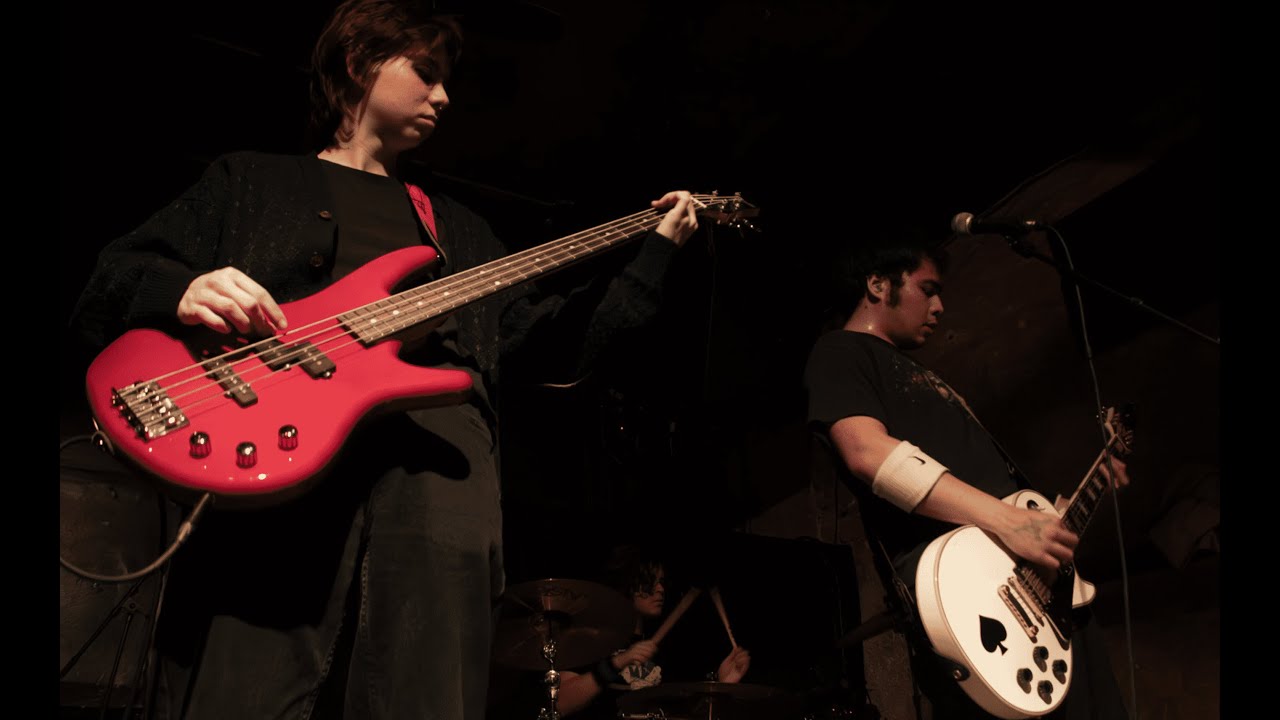 The Lineage: Live at Downstairs at Subterranean
