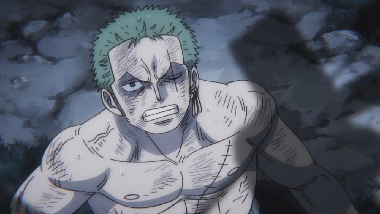 Zoro AMV The Winner Takes it All