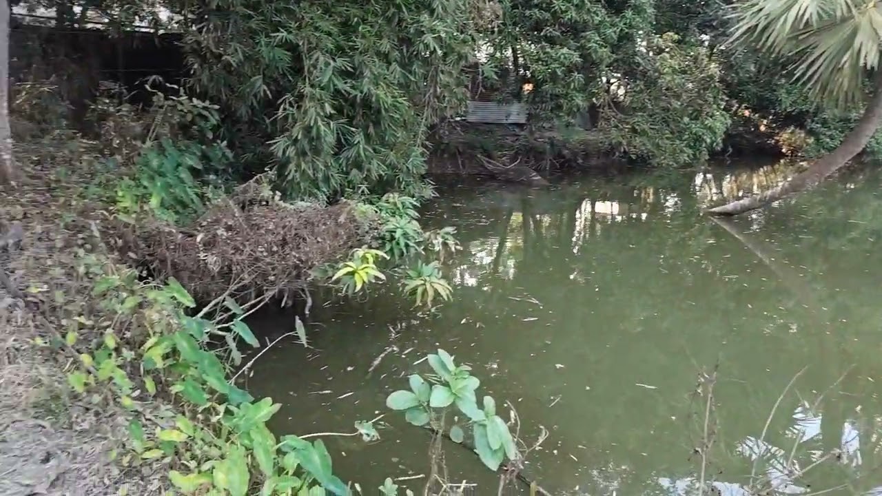 গ্রামের ভিউ মনমুগ্ধকর পরিবেশ | silent village | faysal bhai