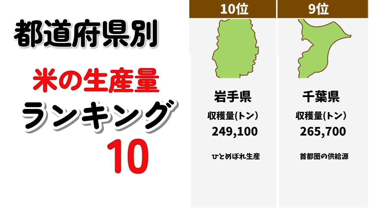 米の生産量ランキングTOP10