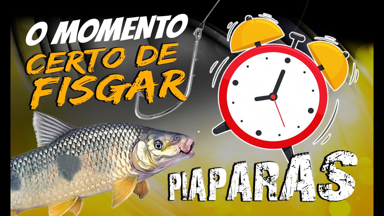 APRENDA A HORA CERTA DE FISGAR A PIAPARA! BIÓLOGO ENSINA.