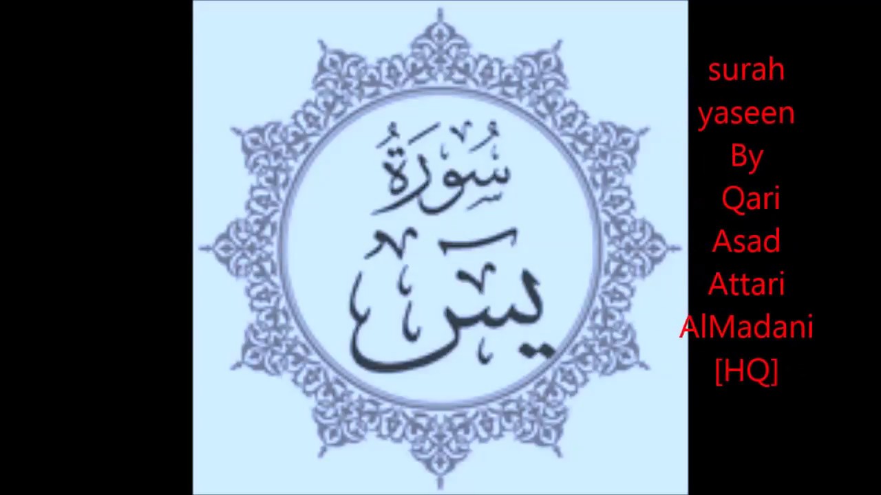 Surah Yaseen  Qari Asad Attari AlMadani  [HQ] With Urdu translation