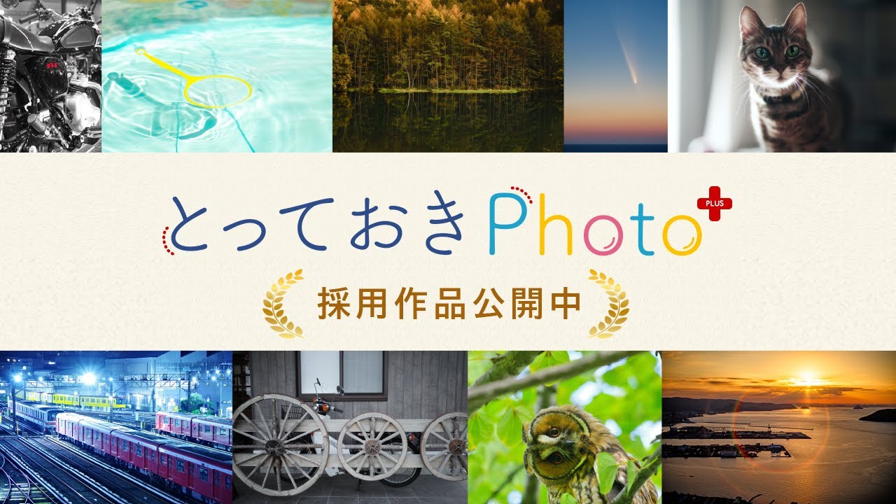 とっておきPhoto+ 採用作品［2024.11］PENTAX / GR --- RICOH IMAGING ---