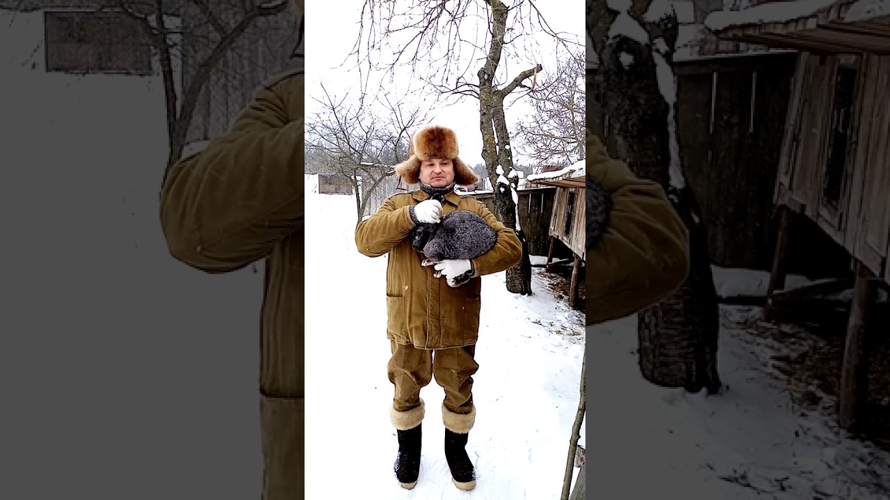 Зимние крольчата 2.
