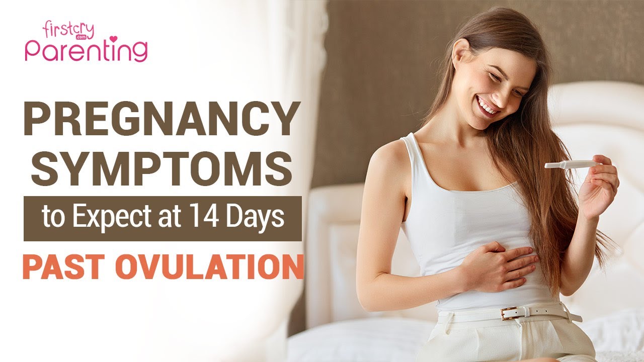 14 Days Past Ovulation : Pregnancy Symptoms