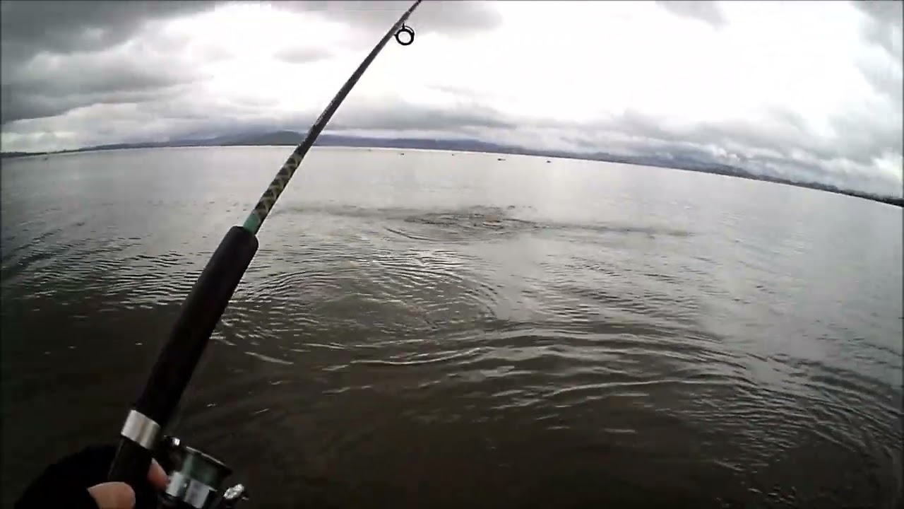 NEW ZEALAND TROUT FISHING SUNDAY ARVO