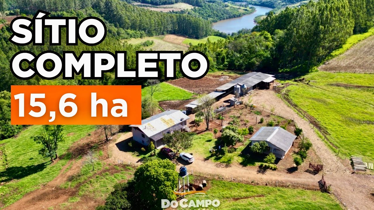 SÍTIO À VENDA + CASAS + GALPÃO GRANDE + ÁGUA BOA + PASTAGEM + MAIS ANIMAIS R$1.6MI