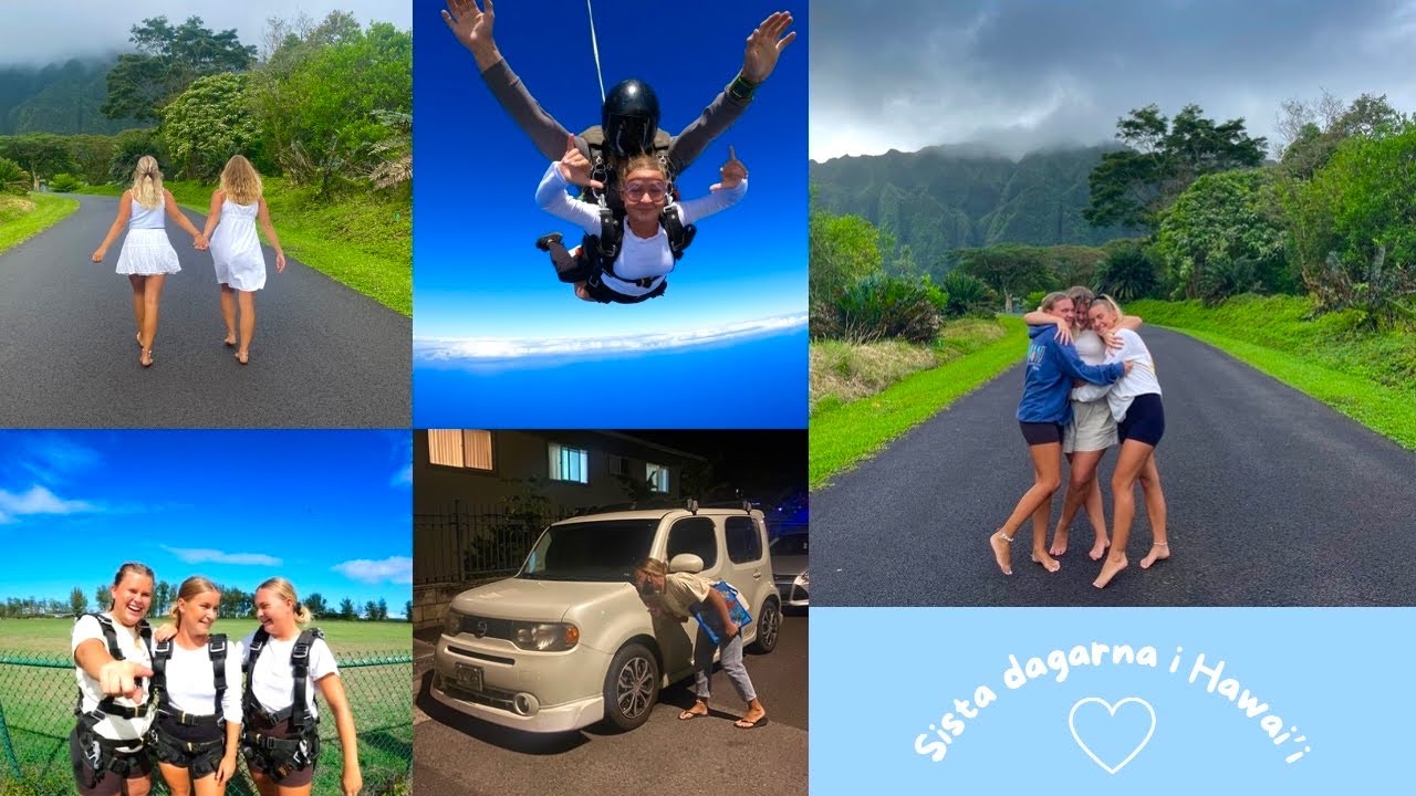 Skydive, snorklar med hajar och en sista roadtrip