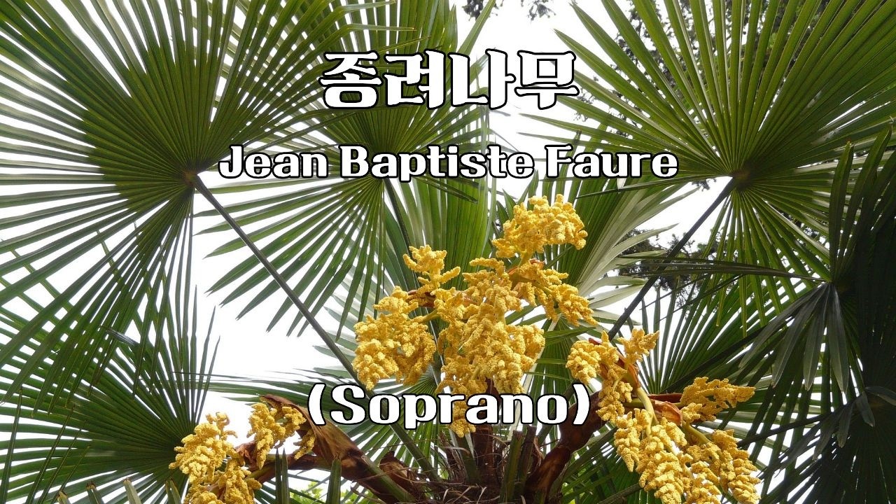 종려나무 (Soprano) - Jean Baptiste Faure