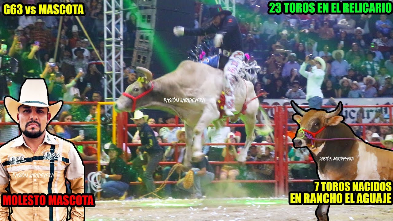 Le cambiaron la espuela a MASCOTA DE JALISCO vs G63! RANCHO EL AGUAJE en Relicario de Morelia 2025