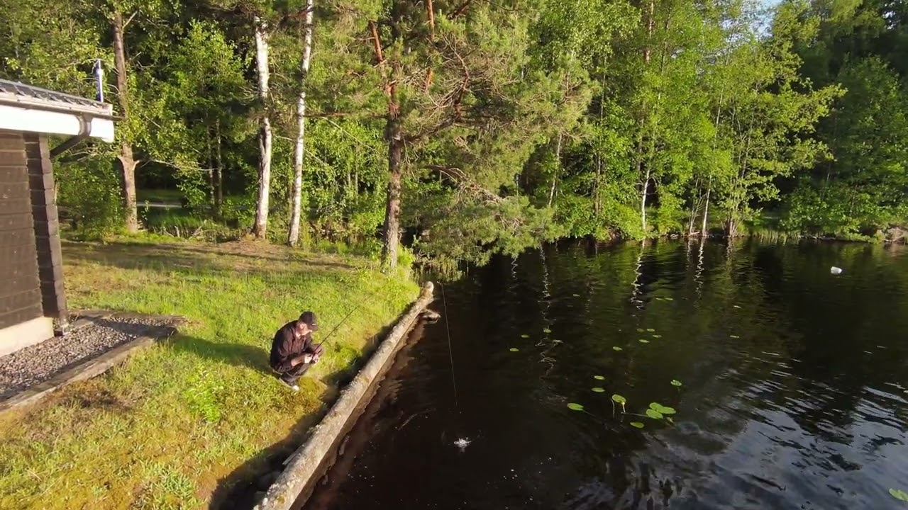 Piękny okoń nagrany z drona [FISKETUR SZWECJA] wędkarstwo w Szwecji