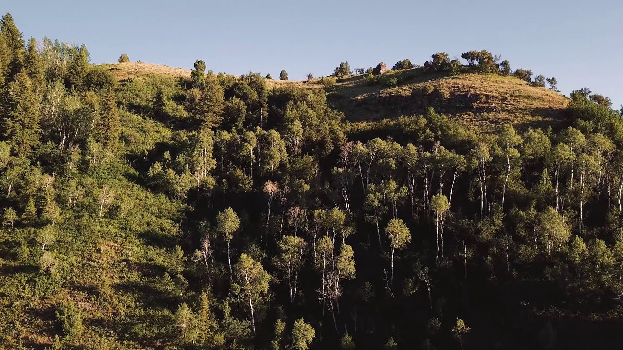 Logan Canyon Summer Landscapes