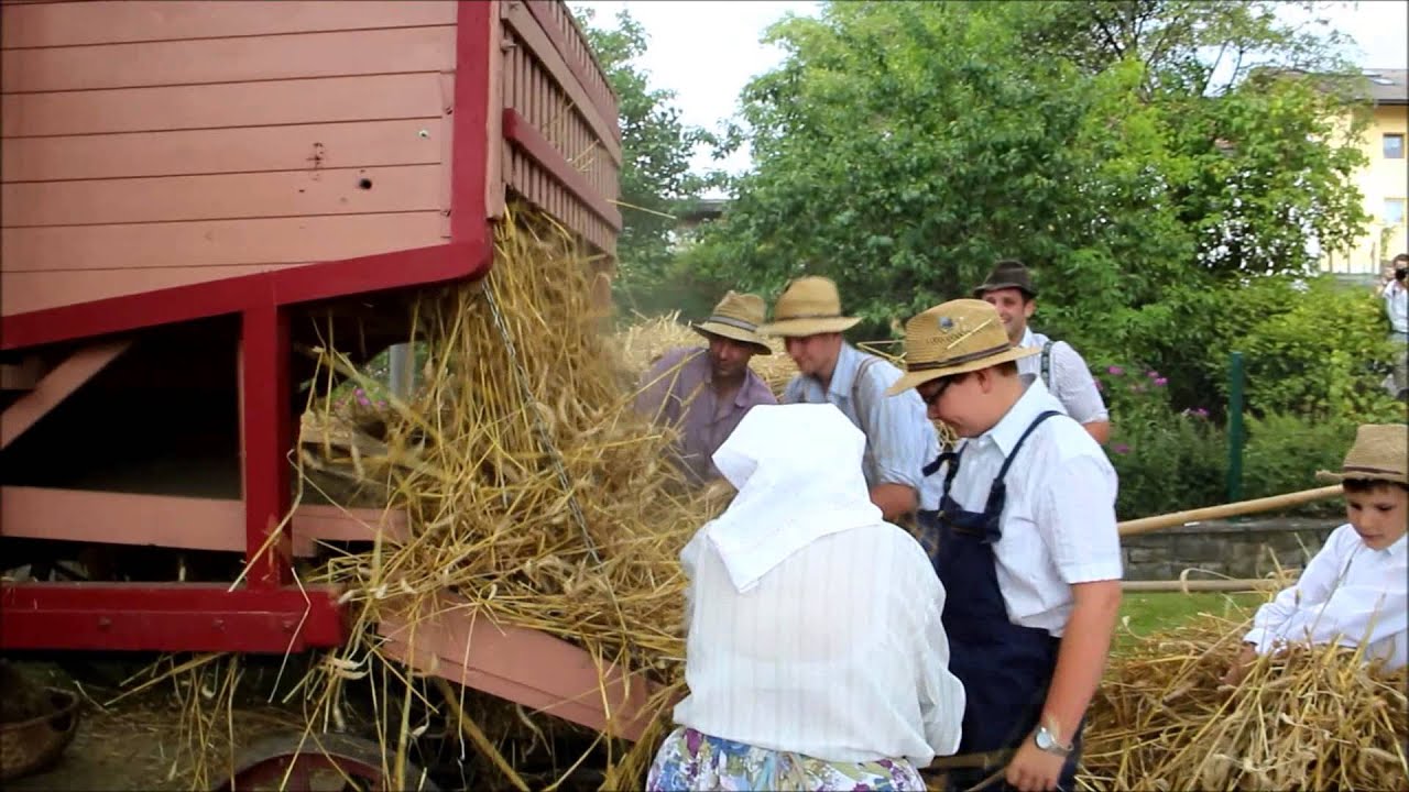 Der Dampf kommt! - Dampfdreschen in Widdersdorf am 9.8.2015