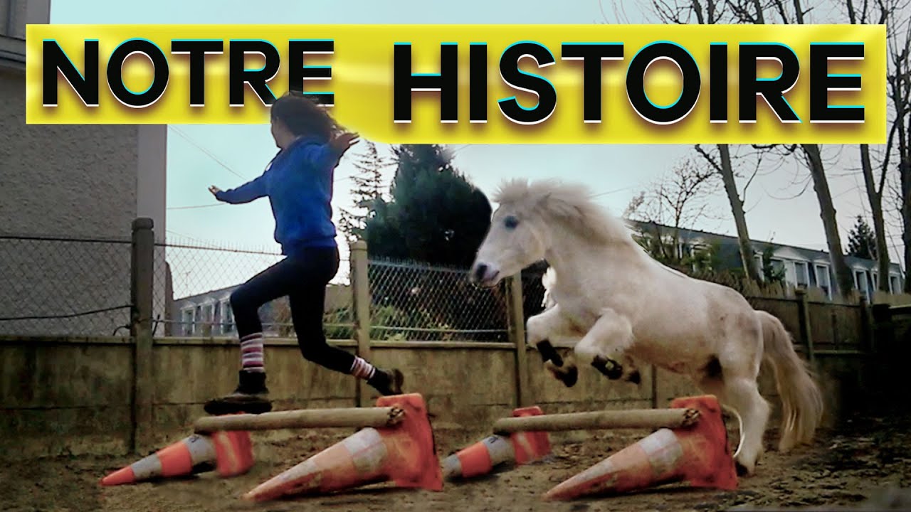 MON HISTOIRE AVEC PAILLETTE (2014-2015)