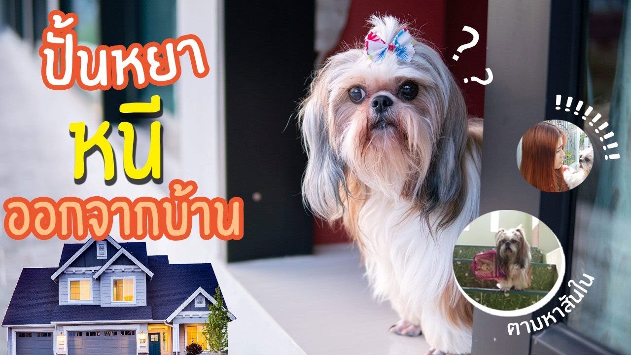 น้องปั้นหยาหนีออกจากบ้าน เด็กติดมือถือ I น้องปั้นหยา