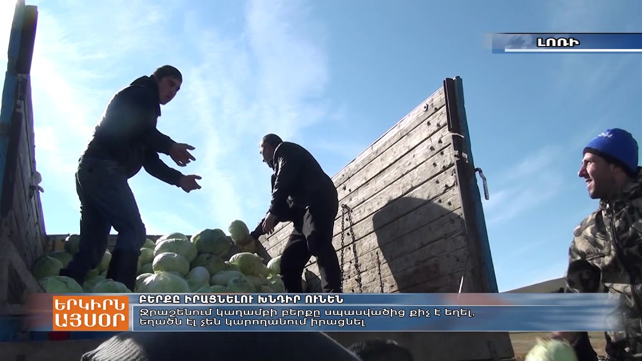 Ջրաշեն գյուղի կարտոֆիլի ու կաղամբի բերքը մնացել է մառաններում