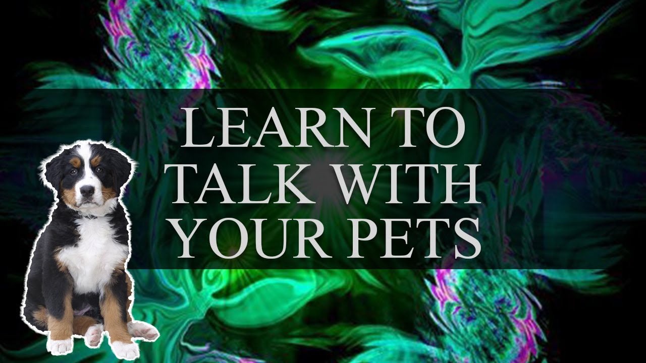 How to Telepathically Communicate with your Pet Technique | Antojai Quantum Healing | Quantum Reiki