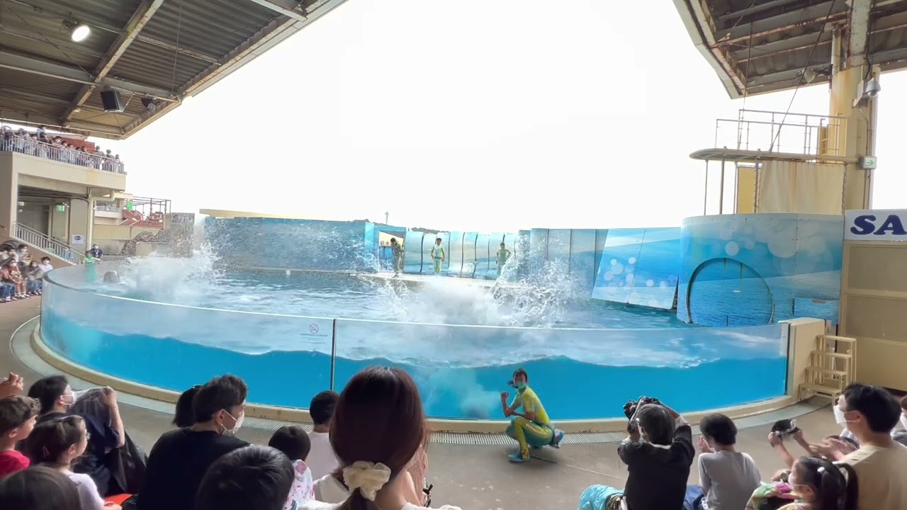 2022.07.16 WAVE～きみの波になりたい～ 13:30 / 新江ノ島水族館