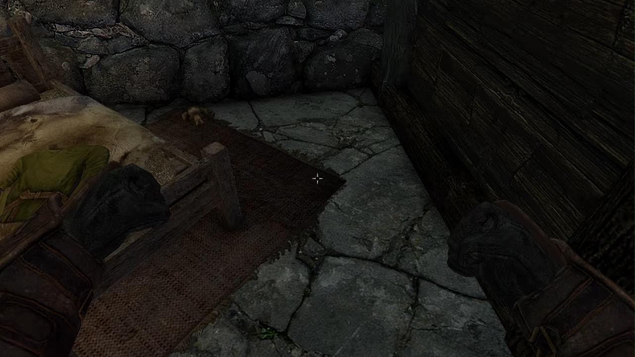 TES 5 Skyrim AE Modded on PS5