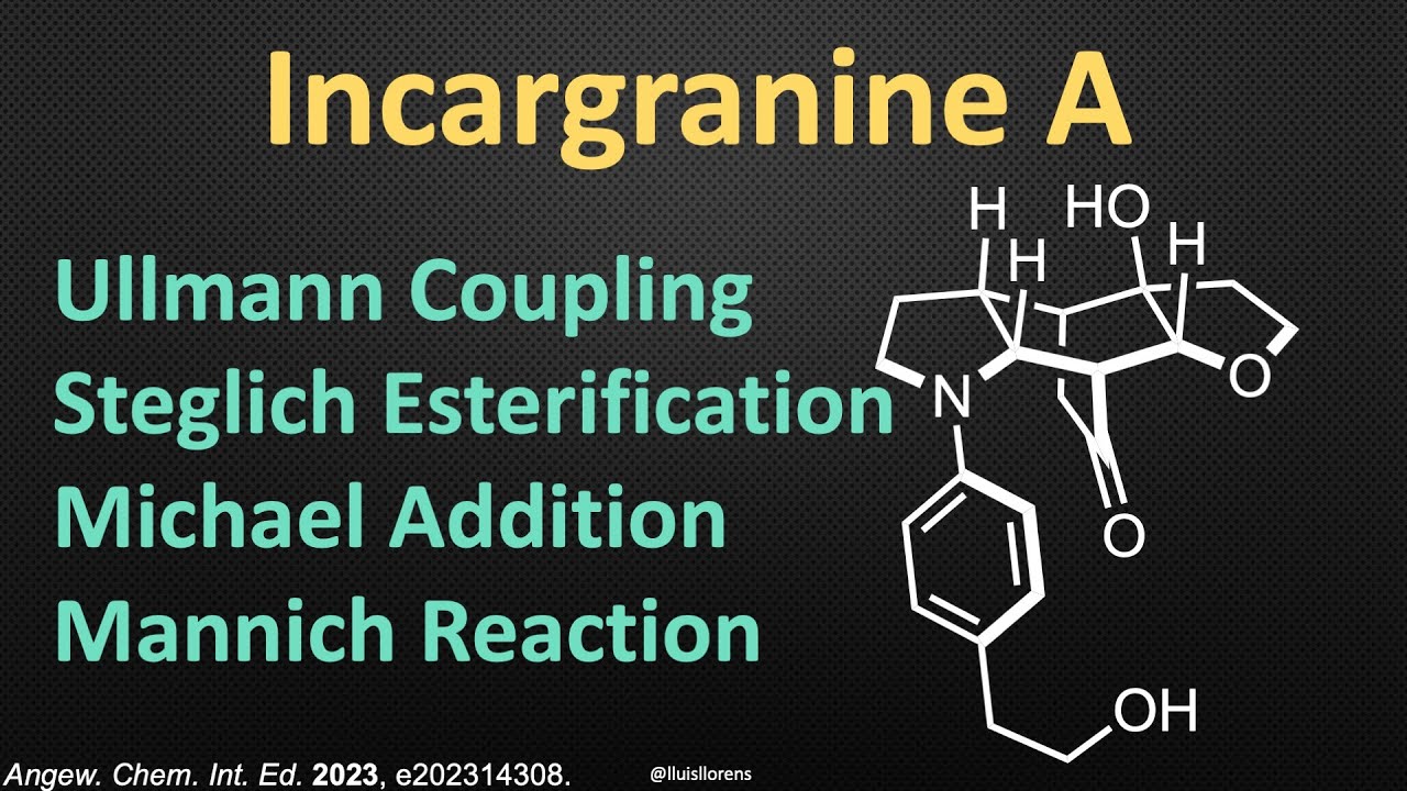 Total Synthesis of (+)-Incargranine A