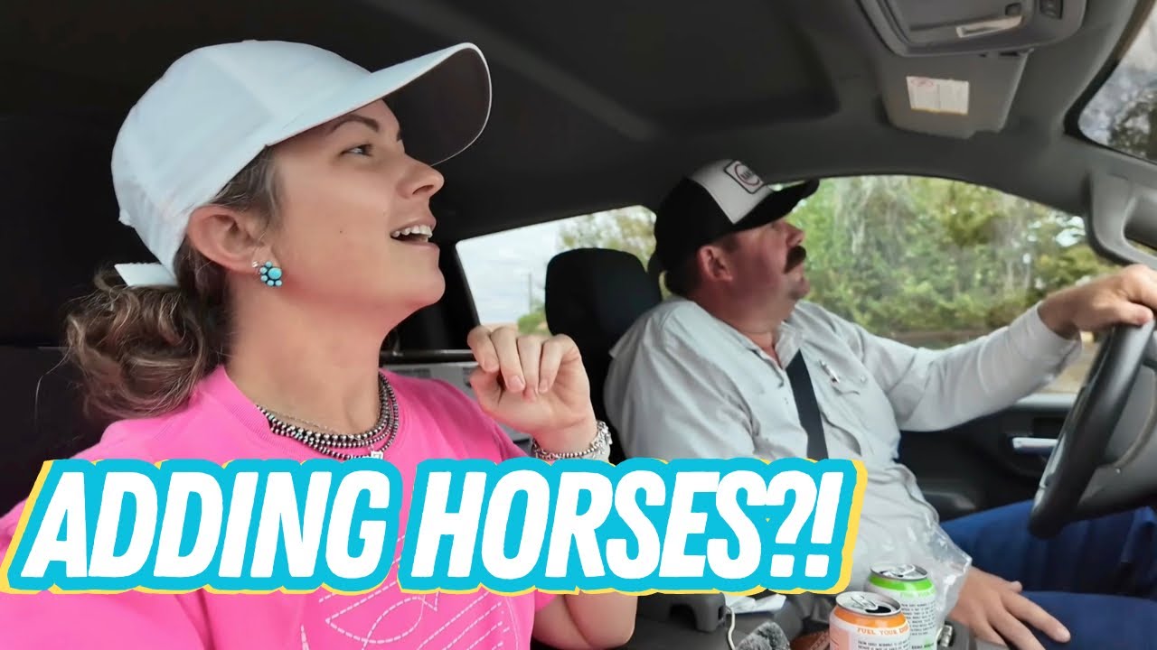 WE’RE FINALLY ADDING HORSES TO THE RANCH! | Bar 7 Ranch
