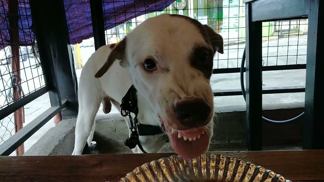 Baron FIRST TIME kumain sa unli 😁