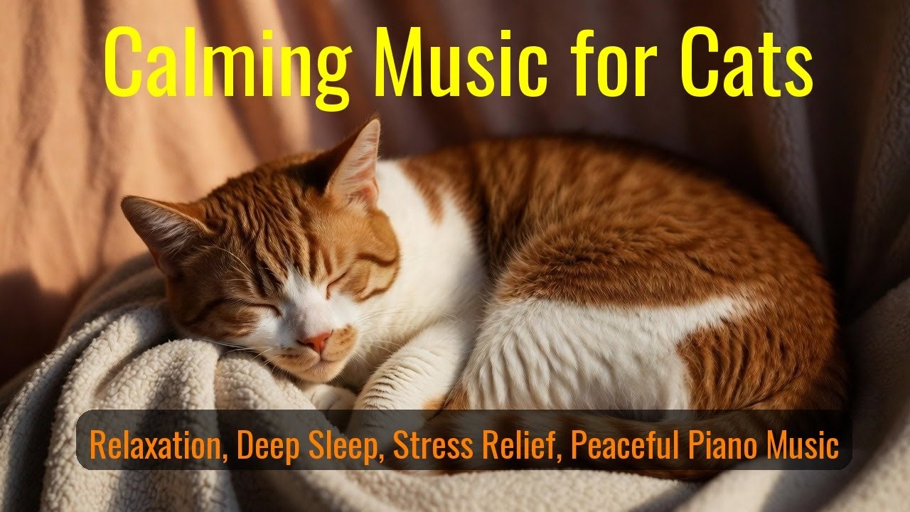 Calming Music for Cats - Relaxation, Deep Sleep, Stress Relief, Peaceful Piano Music | Season 22