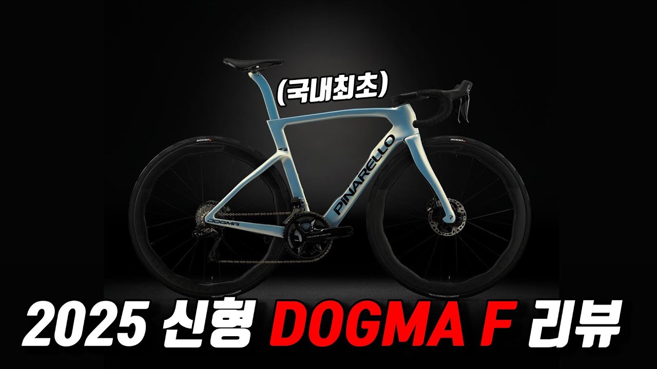 국내최초 | 2025 신형 도그마 F 리뷰