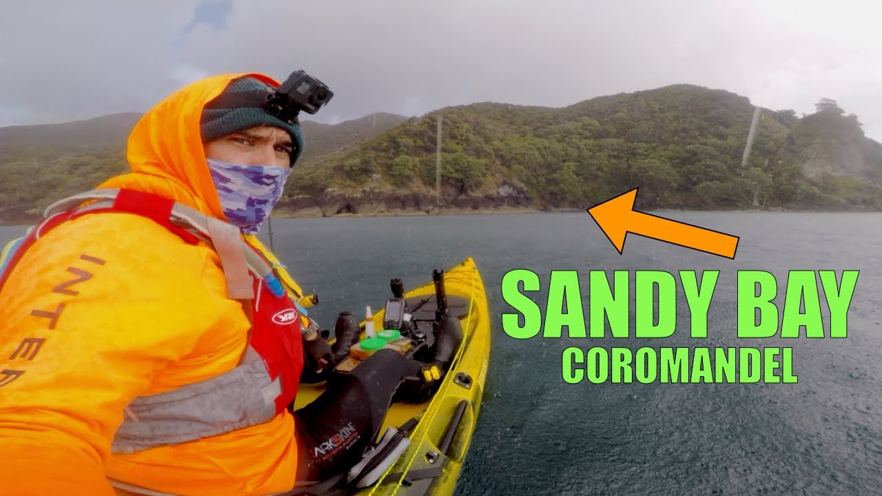 The 3 Species Softbait Challenge | Part 1 of 2.  There Can Be Only One.