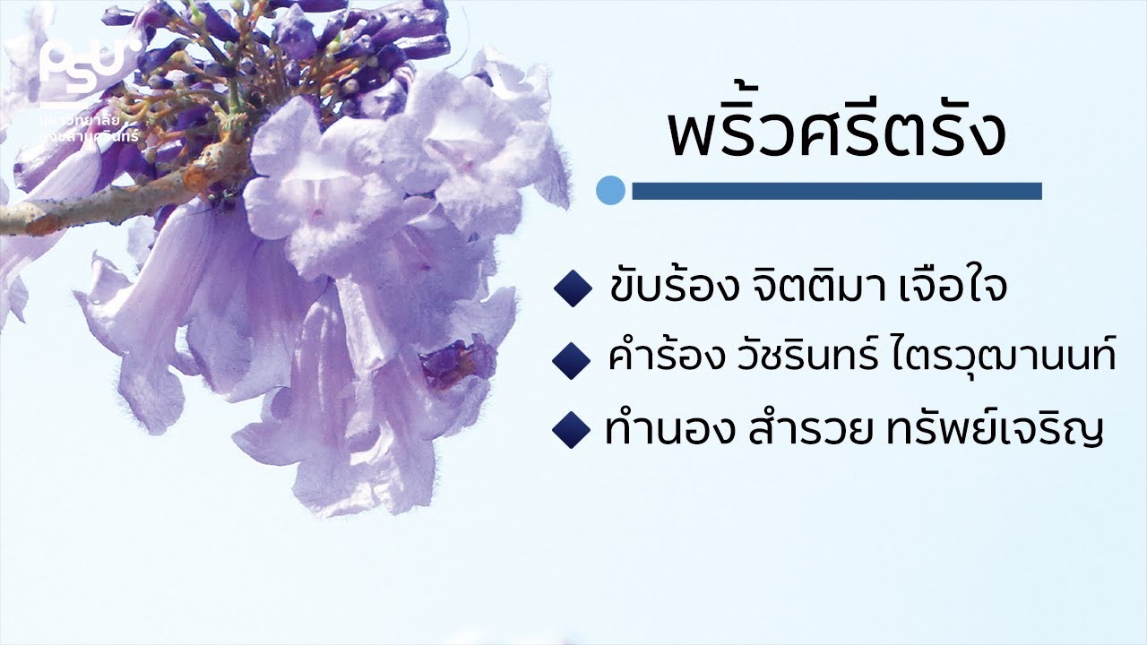 เพลง : พริ้วศรีตรัง