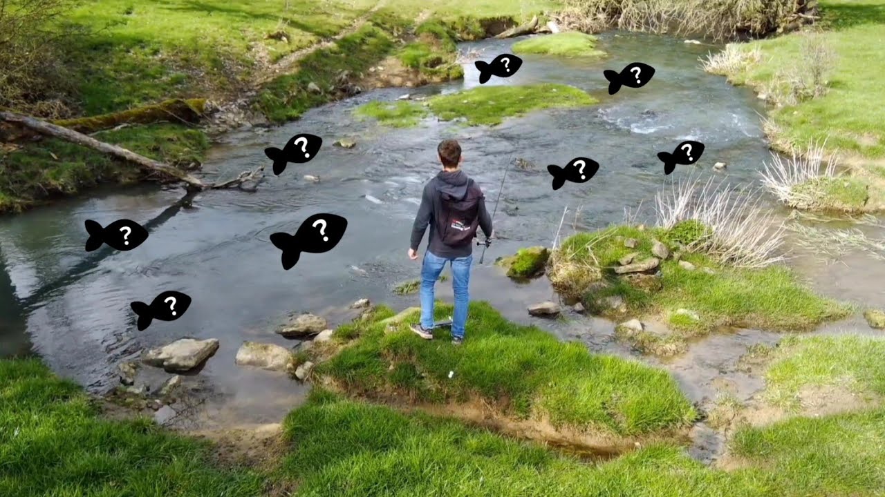 Je pêche à la cuillère dans ce ruisseau PAUMÉ ! Du poisson ? (Je suis SURPRIS !)