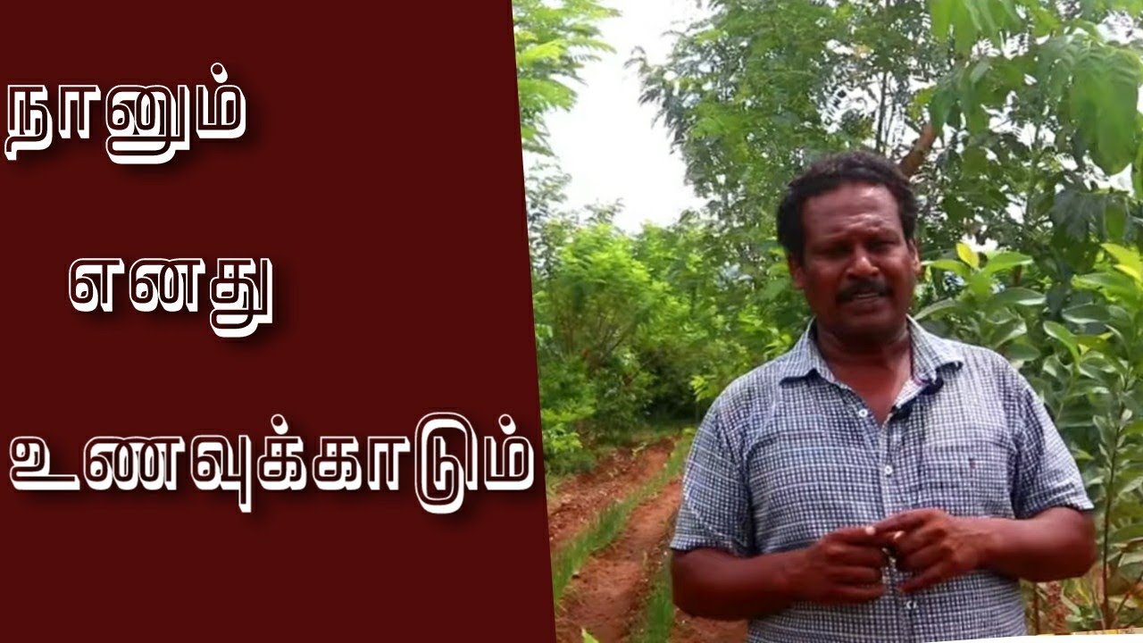 Why I have chosen Food Forest 🌱🌱 நாட்டு பழ மரங்களை நான் ஏன் நட்டேன் ??
