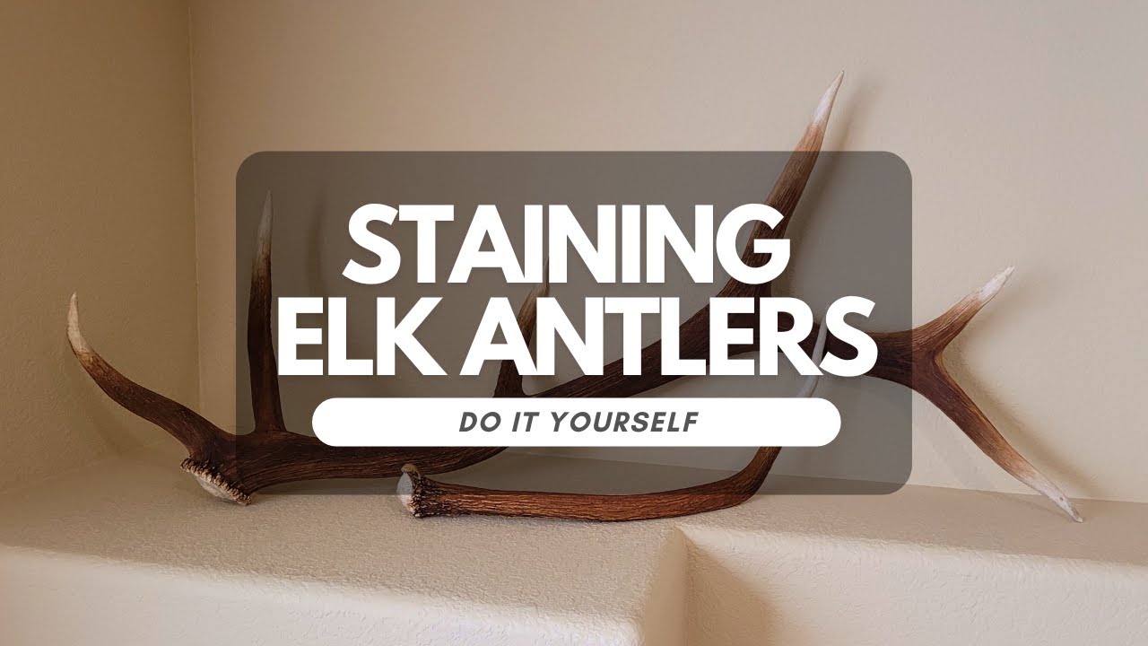 Staining Elk Antlers with Potassium Permanganate | DIY