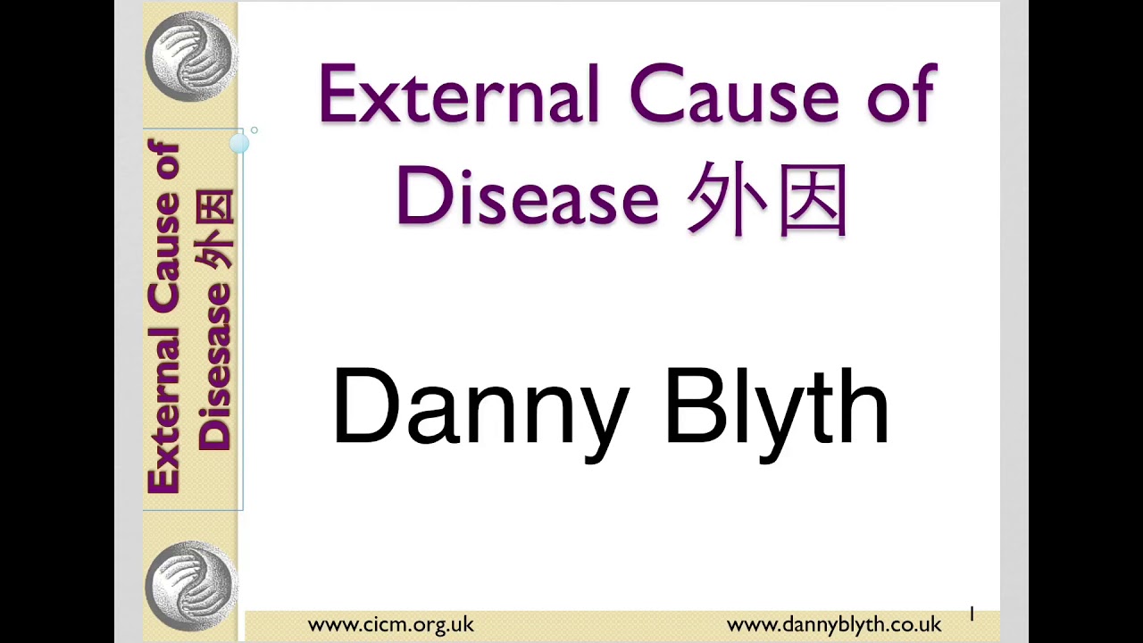 External causes of disease in Traditional Chinese Medicine