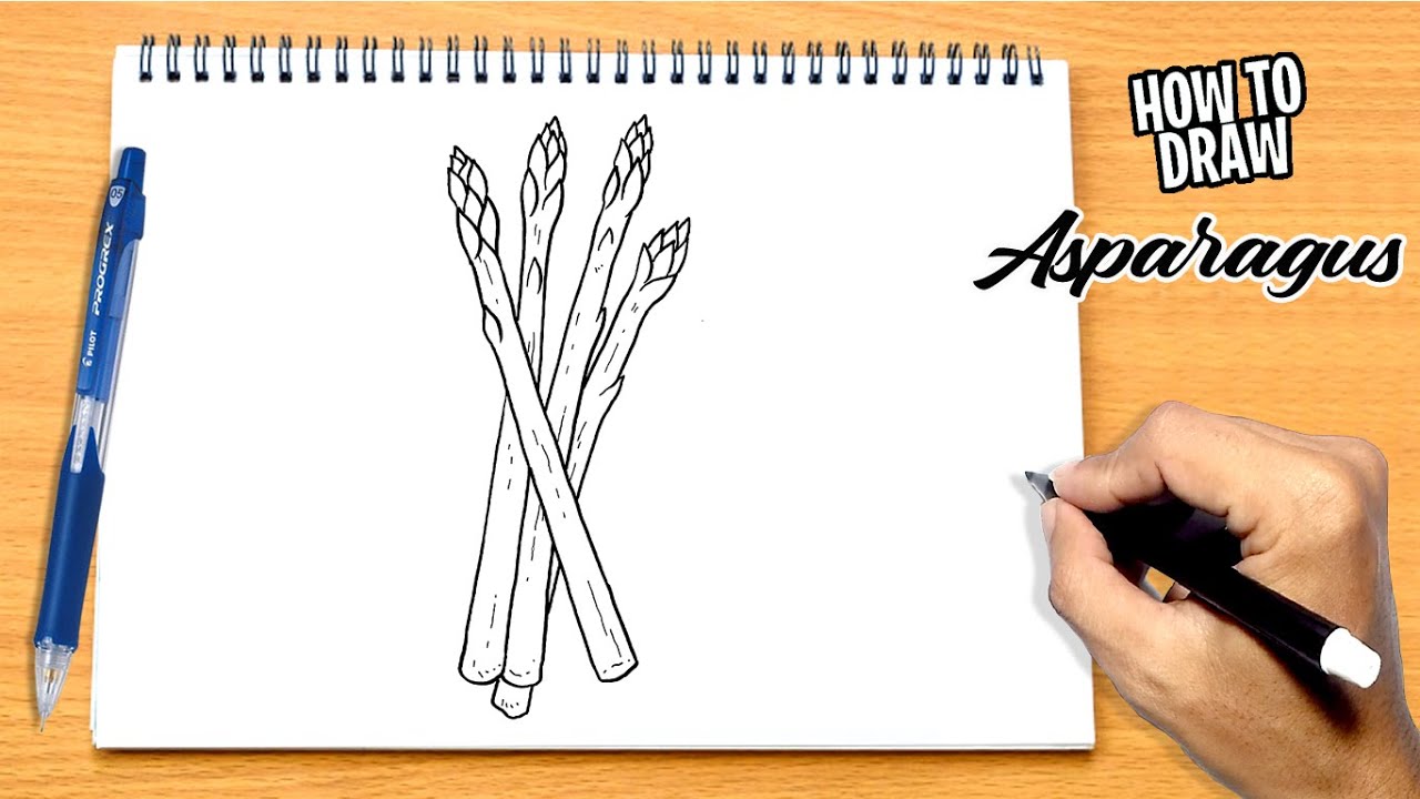 How to draw Asparagus