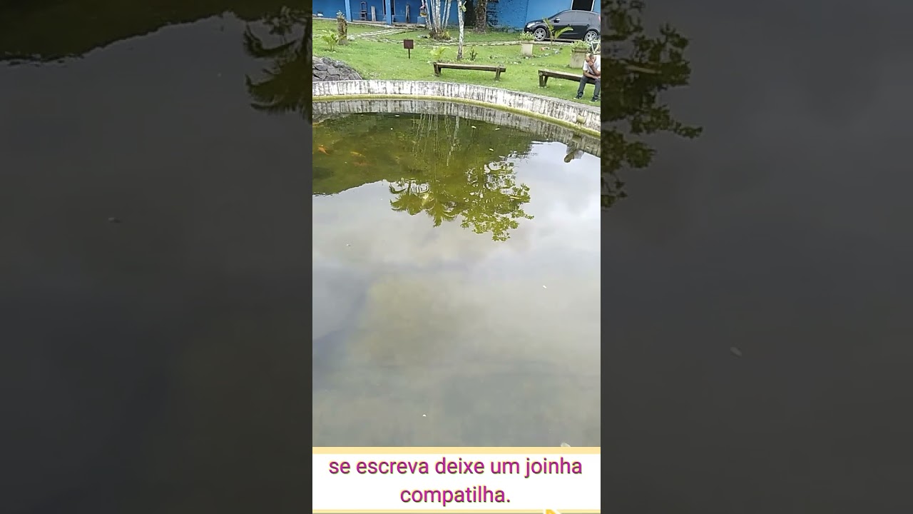 LAGO CHEIO DE PEIXE